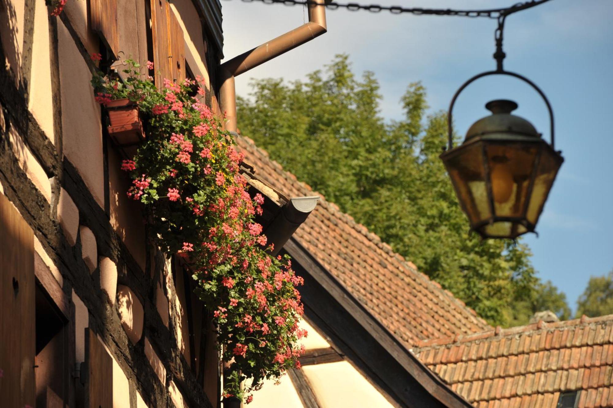 Logis Hotel Restaurant De La Poste Et Spa De Montagne Le Bonhomme Εξωτερικό φωτογραφία